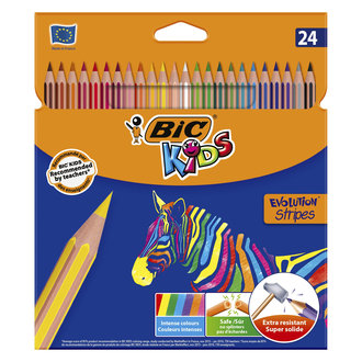 BIC Evolution Stripes Kuru Boya Kalemi 24'lü Kutu