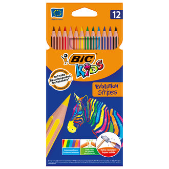 BIC Evolution Stripes Kuru Boya Kalemi 12'li Kutu