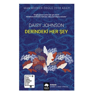 Derindeki Her Şey Daisy Johnson