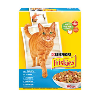 Friskies Kedi Somonlu 300 G