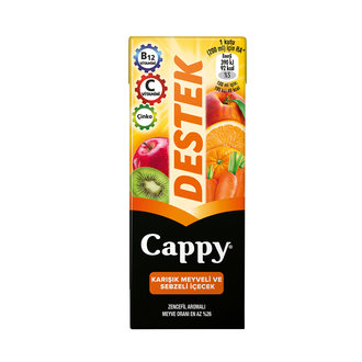 Cappy Destek Karışık Meyveli&Sebzeli İçecek 200Ml