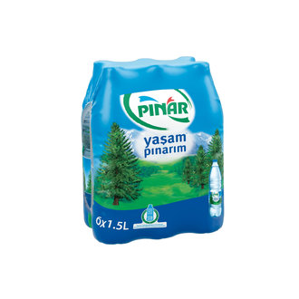 Pınar Yaşam Pınarım Su Pet Şişe 6X1,5 L