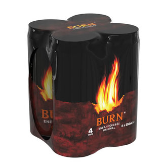 Burn 4X250 Ml